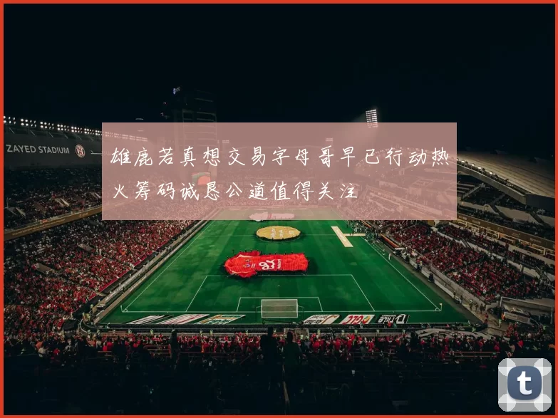 雄鹿若真想交易字母哥早已行动热火筹码诚恳公道值得关注